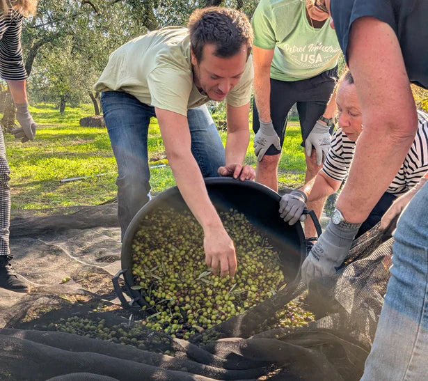 Van boom tot blik: Hoe steenpersing Puglia's vloeibare goud behoudt