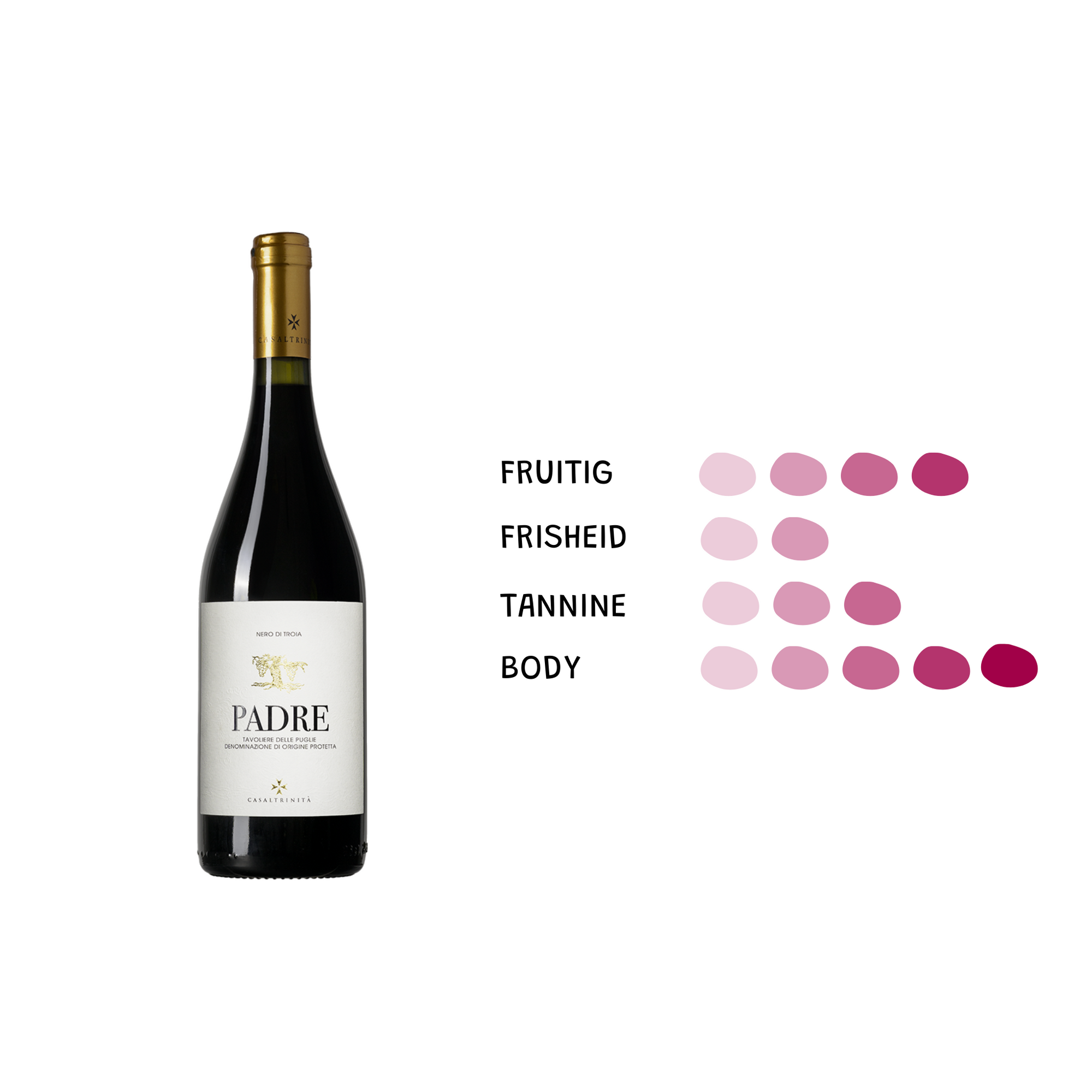 Discovering Our Italian Wines & Olive Oils: A Simple Tasting Guide