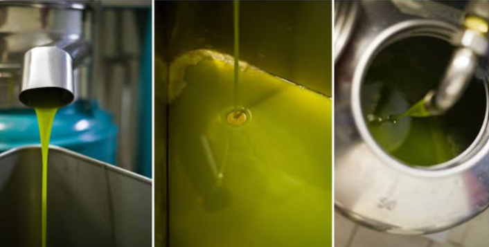 The Essential Guide to Choosing Quality Extra Virgin Olive Oil: 7 Golden Rules