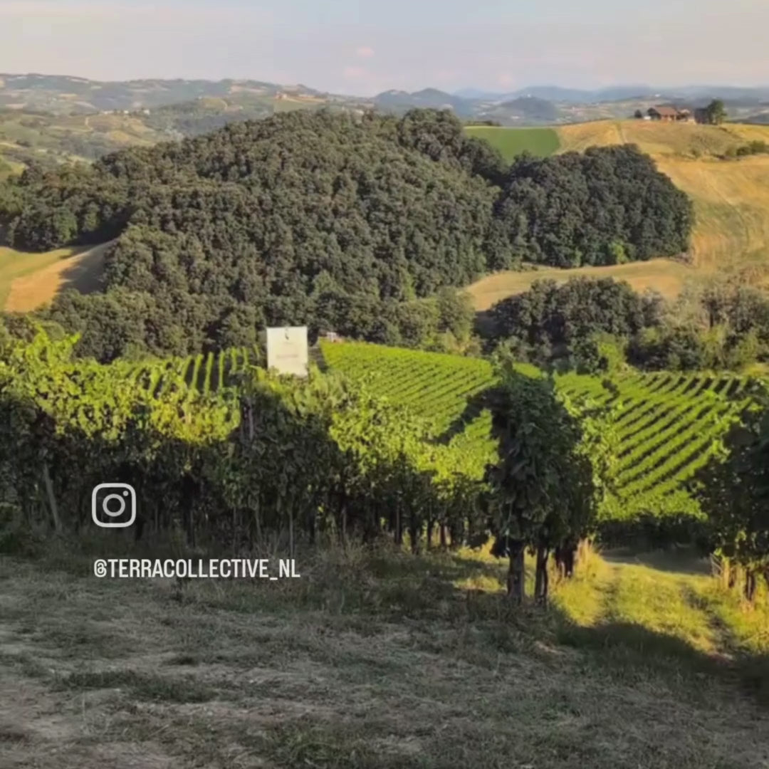 overview video of le Fiole wine producer in Oltrepo' Pavese thorugh a video fro terra collective